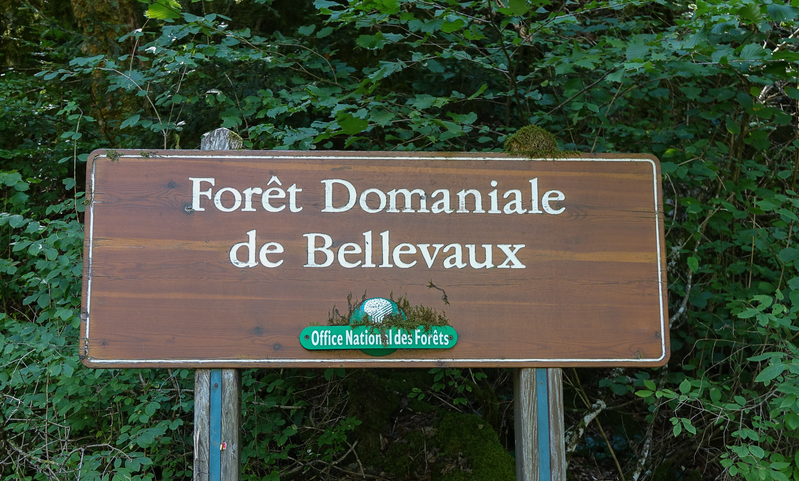 03 bellevaux_67.jpg